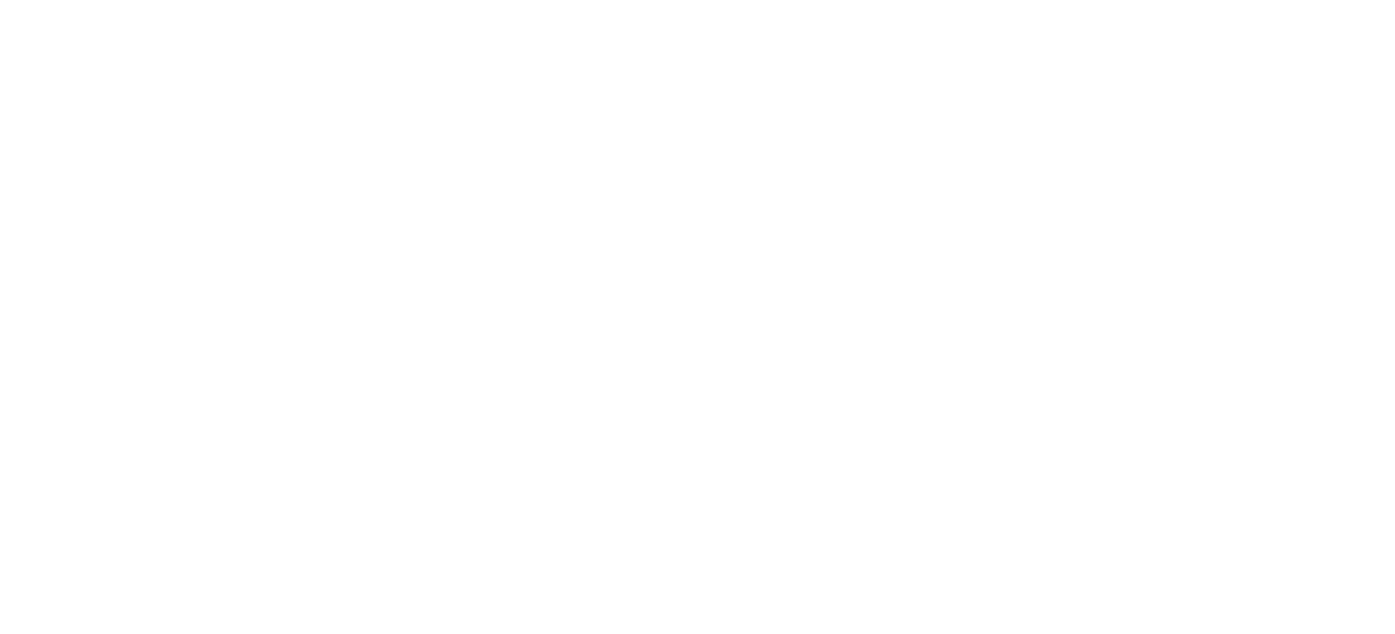 Triatlon Ecosport
