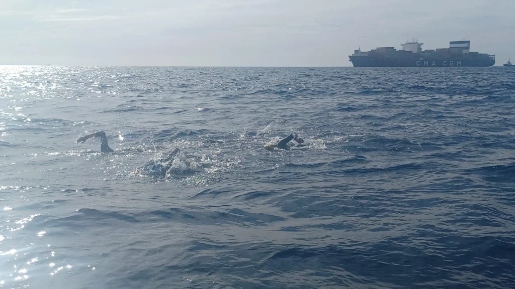 ecosport cruzando a nado el estrecho de gibraltar